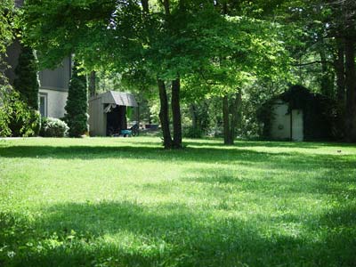 One of our beautiful lawns.