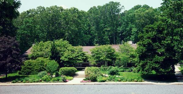 The Commons.